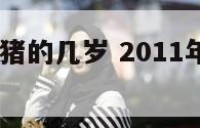 2011年属猪的几岁 2011年属猪的多大