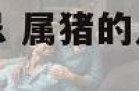 属猪主人厨房禁忌 属猪的人厨房用什么颜色好