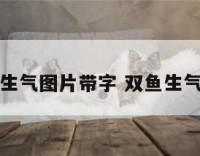 双鱼座生气图片带字 双鱼生气的样子