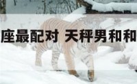天秤男跟星座最配对 天秤男和和什么星座最配