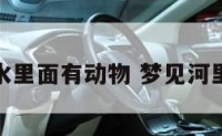 梦见脏河水里面有动物 梦见河里都是脏水