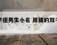 属猪的双子座男生小名 属猪的双子座男生小名怎么取
