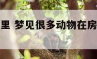 梦见动物屋里 梦见很多动物在房子里是什么意思呢