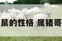 属猪鼠的性格 属猪哥属鼠