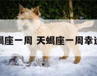 天蝎座一周 天蝎座一周幸运色