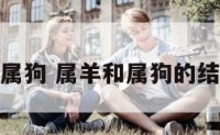 属羊和和属狗 属羊和属狗的结合好不好