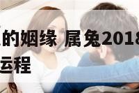 2018属兔的姻缘 属兔2018年运势及运程每月运程