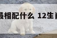 十二生肖马最相配什么 12生肖马配什么生肖最好
