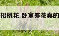 卧室放鲜花招桃花 卧室养花真的可以招桃花吗