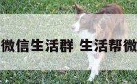 最新微信生活群 生活帮微信群