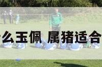 属猪带什么玉佩 属猪适合戴什么玉