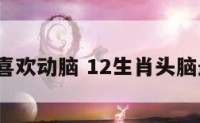 十二生肖喜欢动脑 12生肖头脑最好前4名