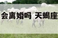 天蝎座结婚后会离婚吗 天蝎座结婚后会找初恋吗