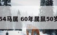 60属鼠54马属 60年属鼠50岁后命运