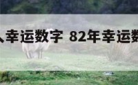 82年的人幸运数字 82年幸运数字 幸运色