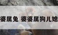 媳妇属狗婆婆属兔 婆婆属狗儿媳属蛇好不好