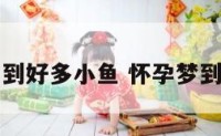 孕妇梦见钓到好多小鱼 怀孕梦到钓到很多鱼