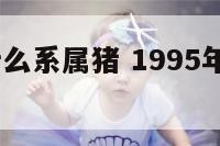 1995年什么系属猪 1995年属什么猪什么命