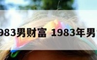 1983男财富 1983年男命