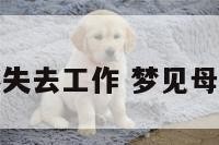 梦见母亲突然失去工作 梦见母亲突然不在了