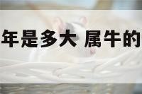 属牛2015年是多大 属牛的2015年运势如何