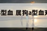 肖狗双鱼座B型血 属狗a型血双鱼的性格特点