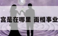 看相事业宫是在哪里 面相事业宫的位置