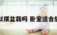 卧室可以摆盆栽吗 卧室适合放盆栽吗
