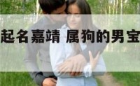 属狗男宝宝起名嘉靖 属狗的男宝宝起名用什么字好