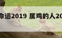 属鸡的命运2019 属鸡的人2021年命运