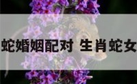 生肖女蛇婚姻配对 生肖蛇女婚配表