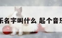 起个音乐名字叫什么 起个音乐的名字