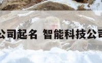 智能科技公司起名 智能科技公司起名参考