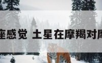 土星摩羯座感觉 土星在摩羯对摩羯的影响