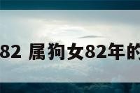 属狗女1982 属狗女82年的婚姻状况