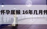 16年几月怀孕属猴 16年几月怀孕属猴生男生女