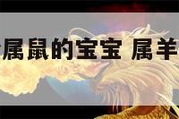 属羊的想生个属鼠的宝宝 属羊生个属鼠的宝宝旺不旺自己