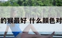 哪个颜色的猴最好 什么颜色对属猴的好