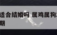 属鸡狗年适合结婚吗 属鸡属狗2021年结婚吉日日期