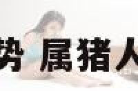 属猪人一生的运势 属猪人一生的运势轨迹