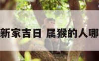 属猴的搬新家吉日 属猴的人哪天搬家好