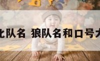 狼文化队名 狼队名和口号大全集