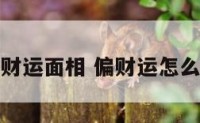 偏财运面相 偏财运怎么样