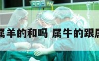 属牛的和属羊的和吗 属牛的跟属羊的合吗