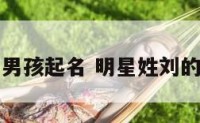 明星姓刘的男孩起名 明星姓刘的男孩起名字