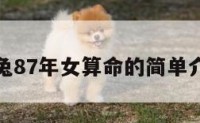 属兔87年女算命的简单介绍
