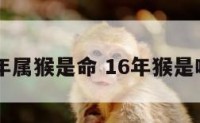 16年属猴是命 16年猴是啥命
