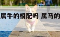 生肖属马和属牛的相配吗 属马的和属牛相最配吗