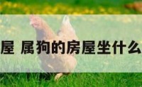 属狗的房屋 属狗的房屋坐什么方向最好