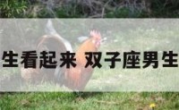 双子座的男生看起来 双子座男生看重外貌吗
